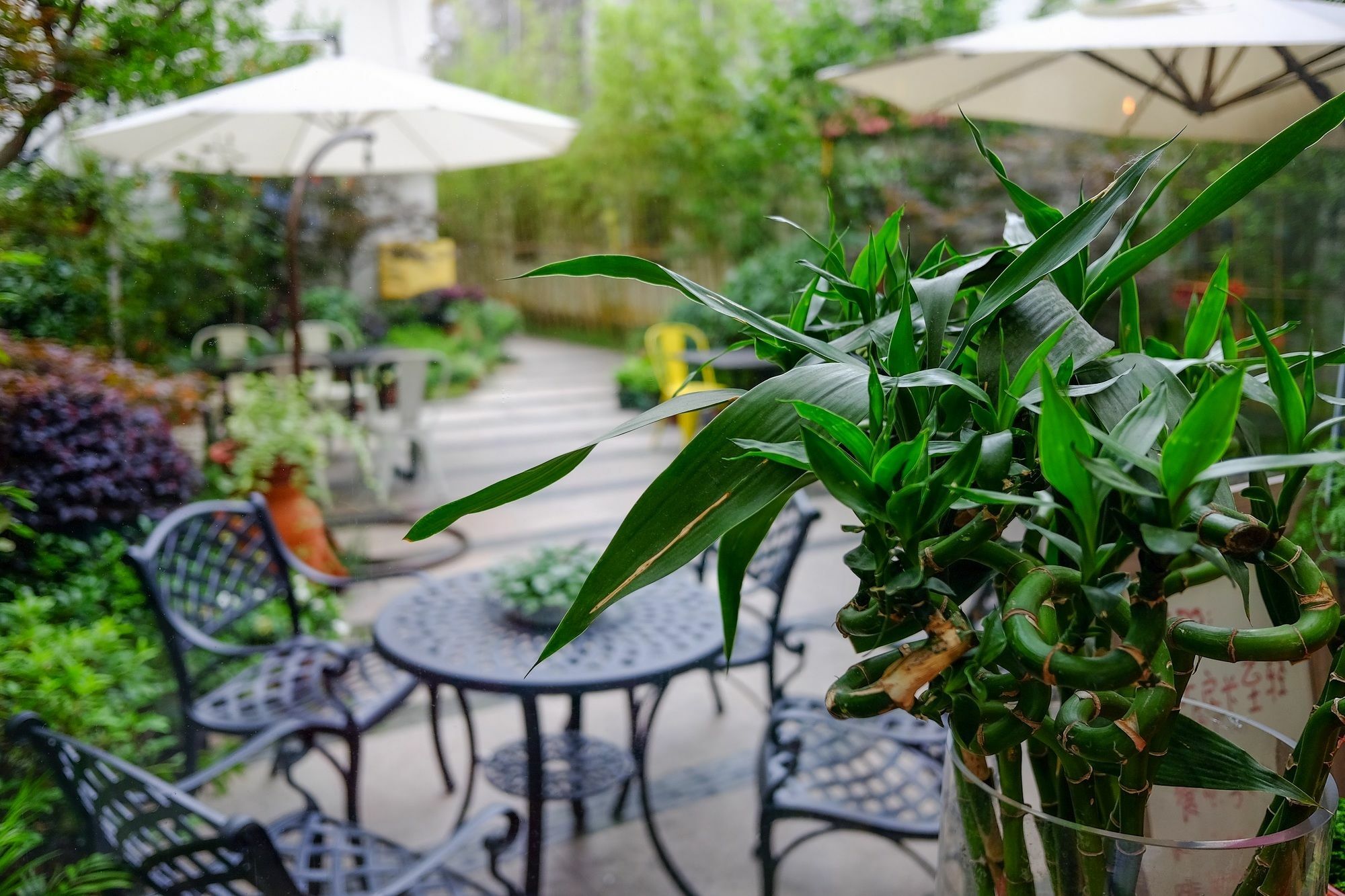 Suzhou Homa Garden Hotel المظهر الخارجي الصورة